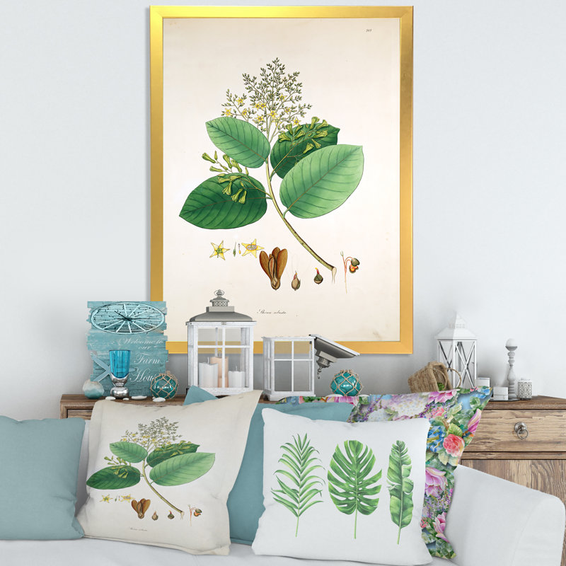 Vintage Botanicals III - peinture sur toile, H 32 po x l 16 po x P 1 po, Cadre doré