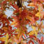 Arbre d'automne artificiel Autumn Deluxe-1083219240