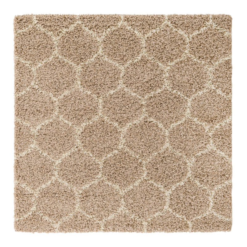 Geometric Indoor Rug, Square 5'3"