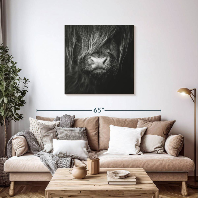 Visage de vache Brampt Highland