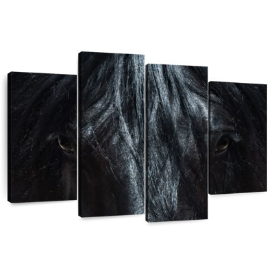 Gros plan sur un cheval noir