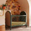 Bondi Cane 3-in-1 Convertible Crib with Toddler Bed Conversion Kit-612367770