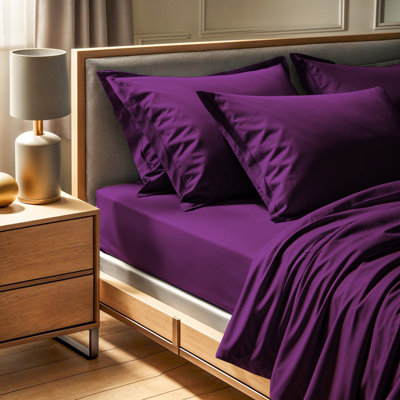 Drap-housse Ranforce