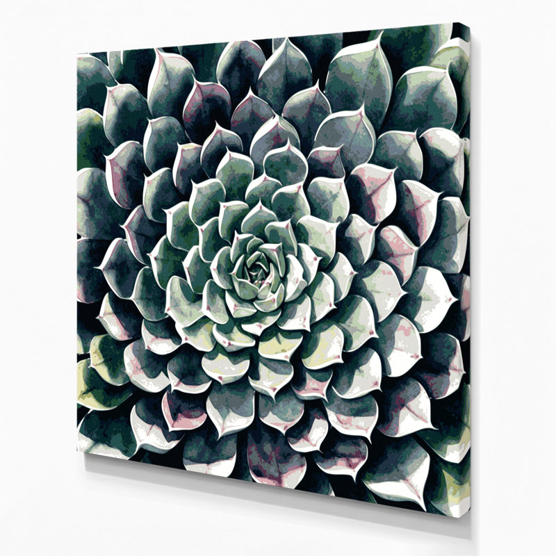 Art mural sur toile Botanical Echeveria, H 32 po x l 32 po