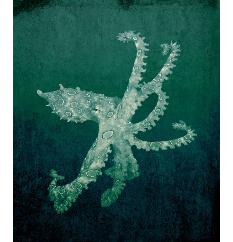 Collection Marine VI par GI Lab - impression, Couche de verre, H 32 po x l 24 po x 1,5 po