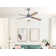 Arsav 130cm Ceiling Fan with LED Lights
