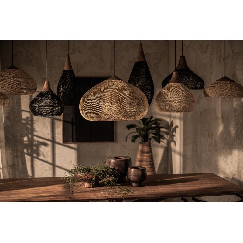 Luminaire suspendu 1 lumière Amhold, Noir