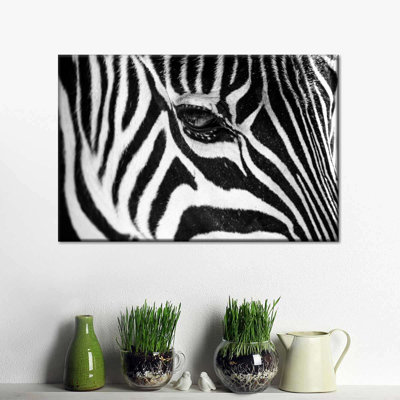 Zebra Eye Canvas Print