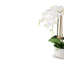 Lugano RealTouch Orchid Arrangement-2073315146