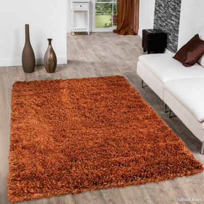Hand Knotted Indoor Rug