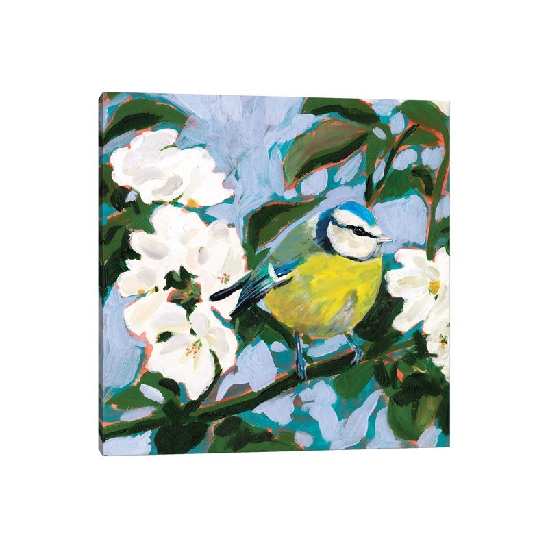Perching I by Victoria Borges - Wrapped Canvas Painting, 30.48 cm H x 30.48 cm W