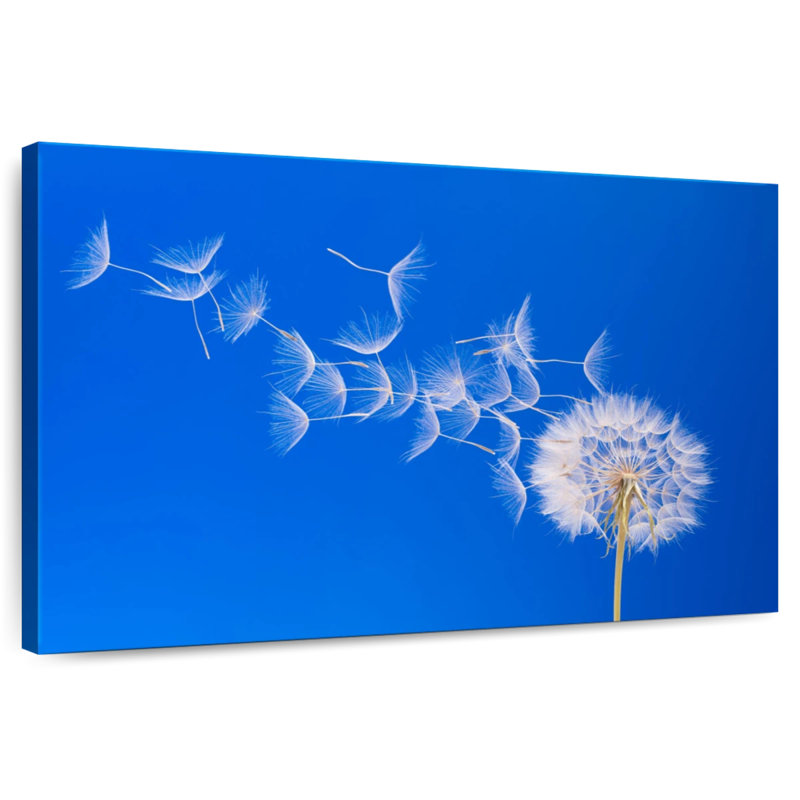 Harnek Dandelion Seeds Flying, H 26 po x l 39 po