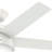 46" Anslee Standard Ceiling Fan with Pull Chain and Light Kit Included-17799238