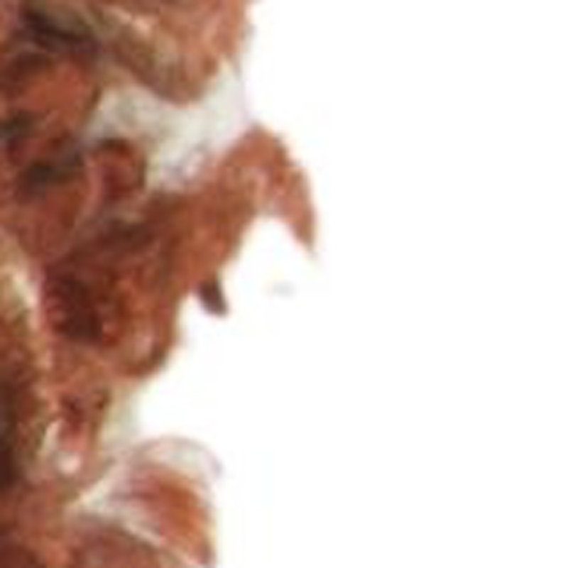Fringed Throw Pillow, Orange