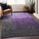 Machine Washable Indoor/Outdoor Chayden ACN1066 Rug