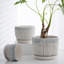 Pots de fleurs gris, pots de fleurs texturés en céramique pour plantes d'intérieur (lot de 3)