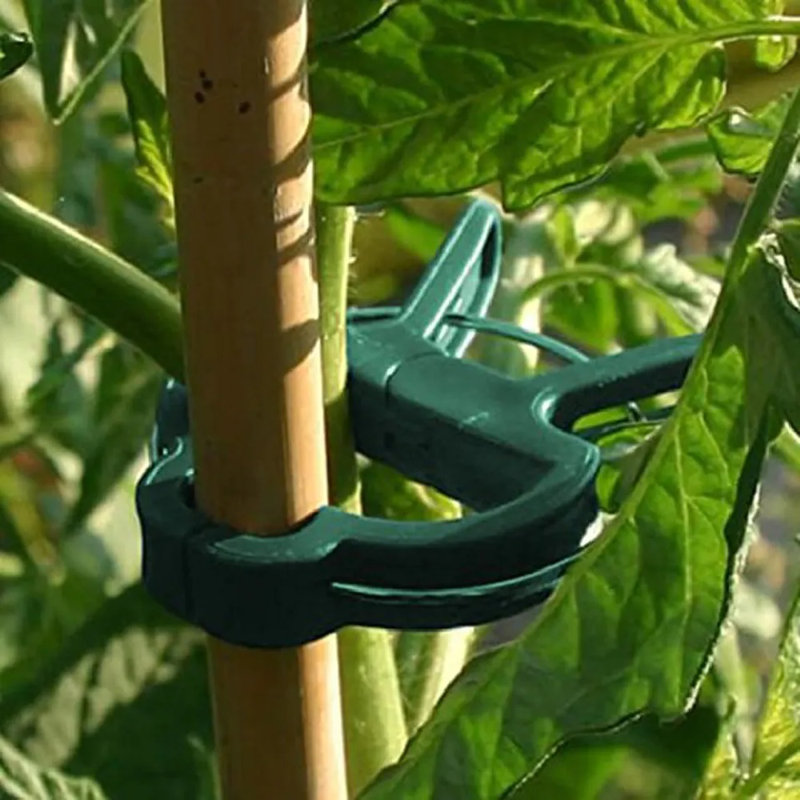 Plant Support