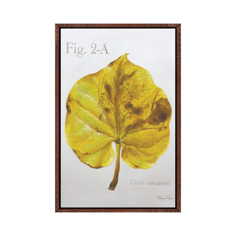 Autumn Leaves On Gray IV-Redbud by Kelsey Wilson - Gallery-Wrapped Canvas Giclée on Canvas, Classic Wood Framed