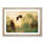 Oak Framed selected