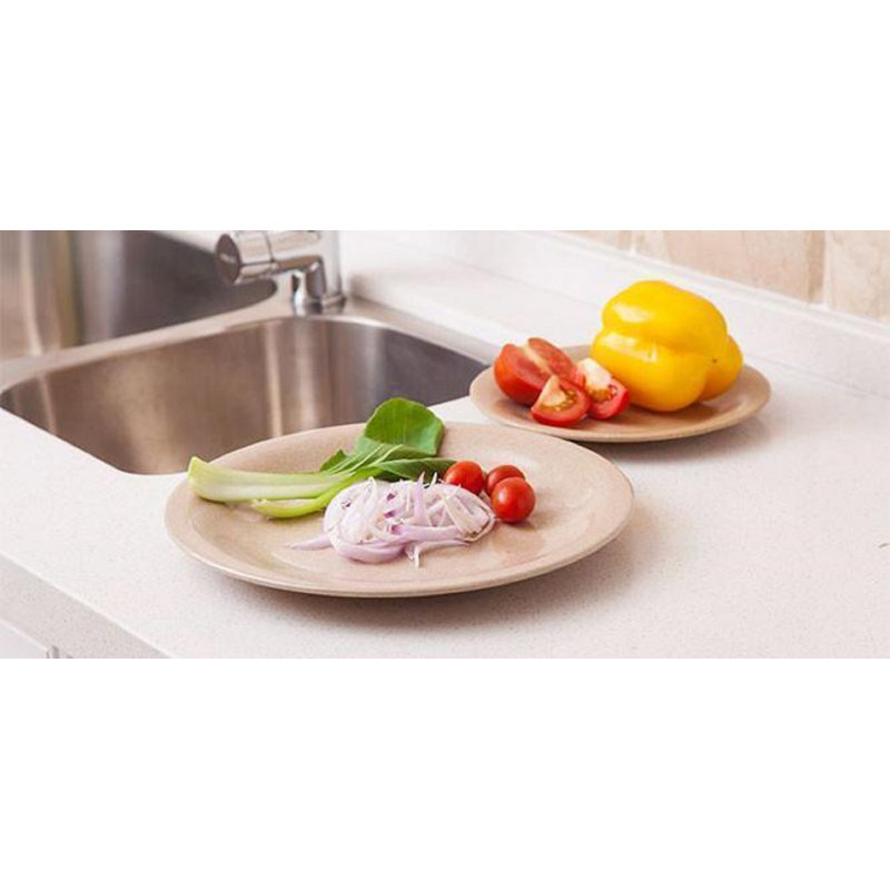 Antorion 4 Piece Dinner Plate Set