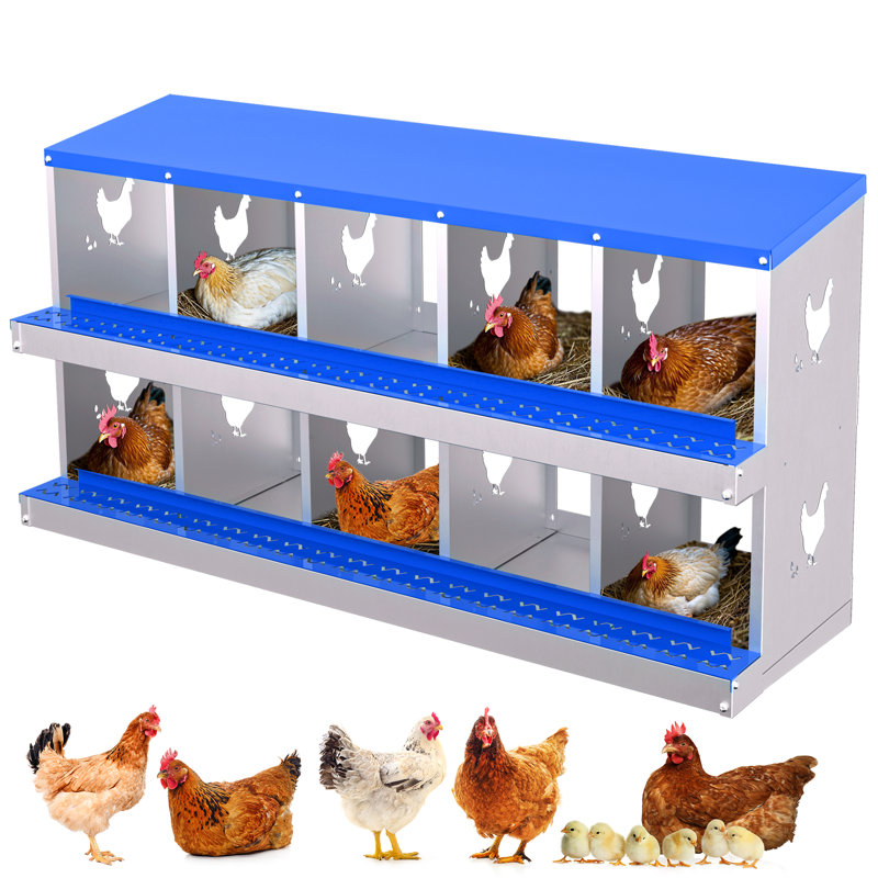 Boîte de nidification en métal pour poules pondeuses, H 26,57 po x l 53,54 po x P 16,93 po, Bleu