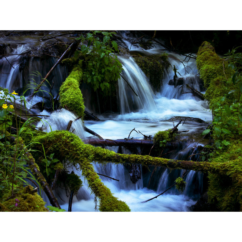 Fairy Falls Trail Print by Catherine Johns, 24" H x 32" W , Wrapped Canvas