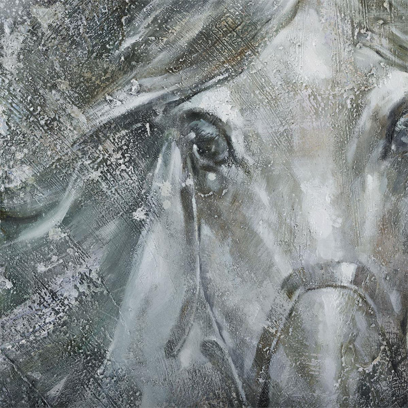 LM Zhou's Starlit Stallion