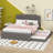 Broida Upholstered Panel Bed-1210903507
