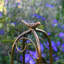 91cm H x 26cm W Metal Obelisk-1865005406