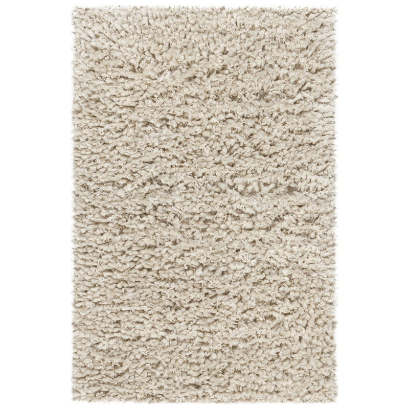 Tapis à poils longs tissé à la main Hucksley, Rectangle 4pi x 6 pi