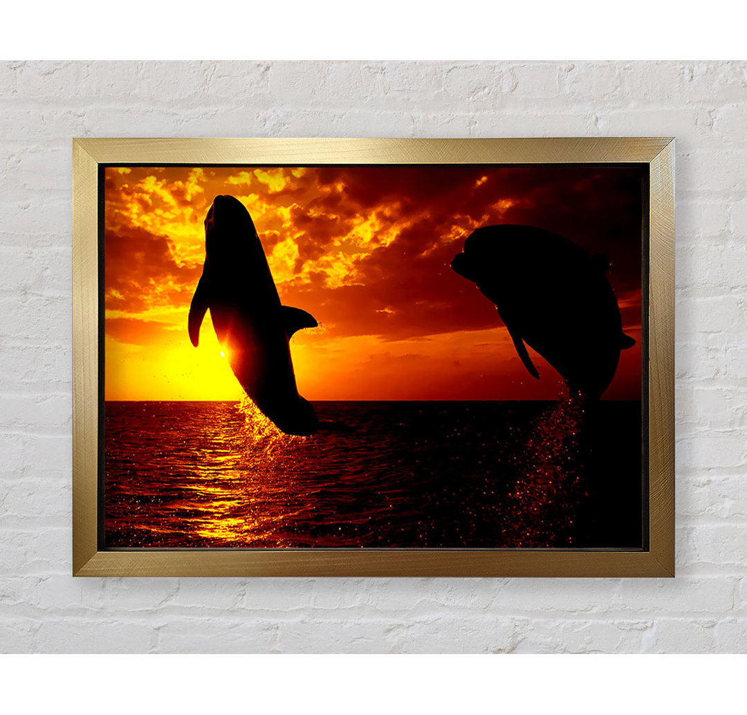 Dolphins Sunglow - Einzelner Bilderrahmen Kunstdrucke