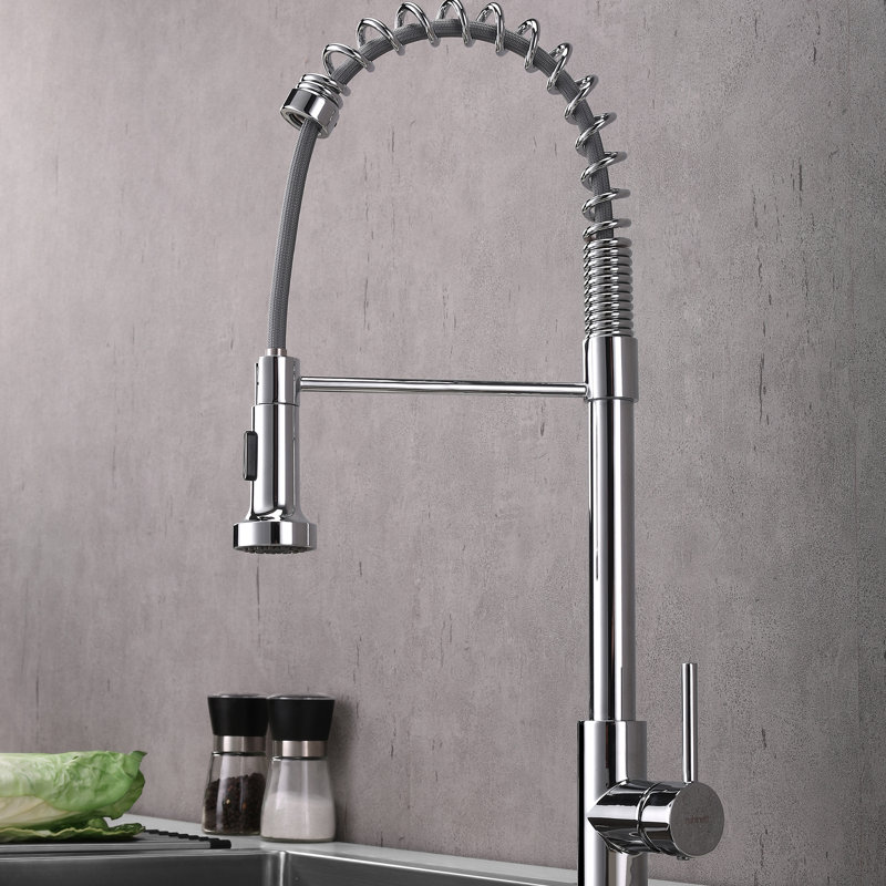 Belfry Kitchen Fresnel Pull Down Kitchen Faucet