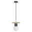Newport Collection 1 Light Pendant-1587501031