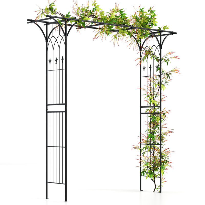 205cm W x 52cm D Metal Arbour, Black