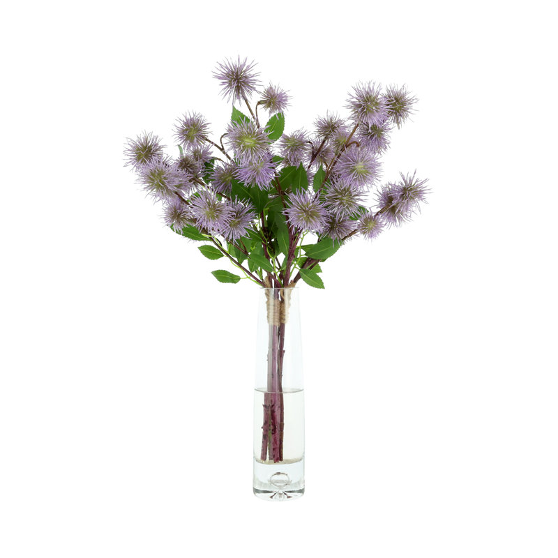 Globe chardon dans un vase en verre