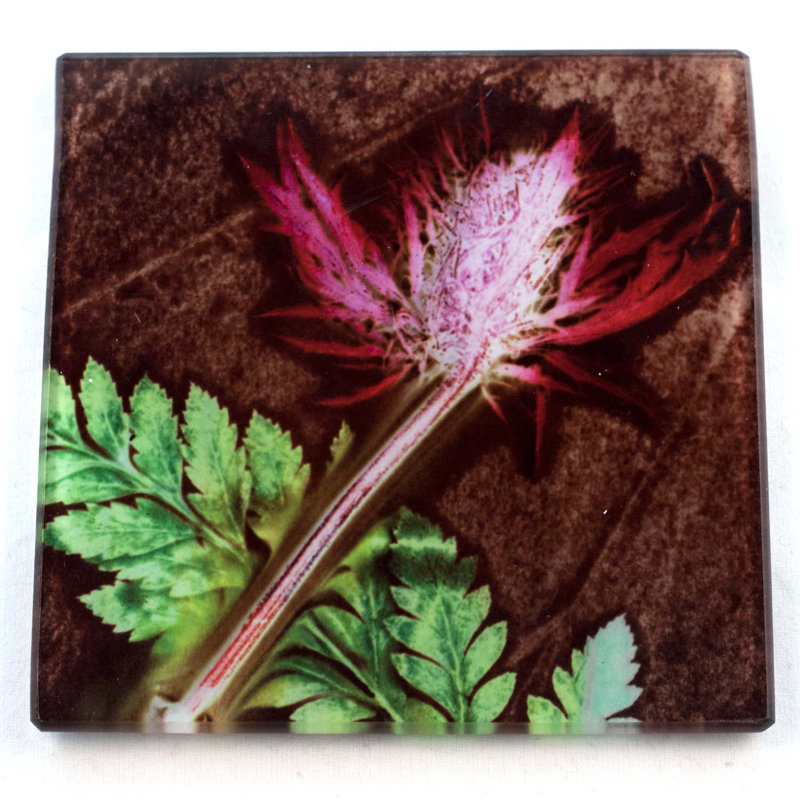 Glass Square 1 Piece Coaster, Earth