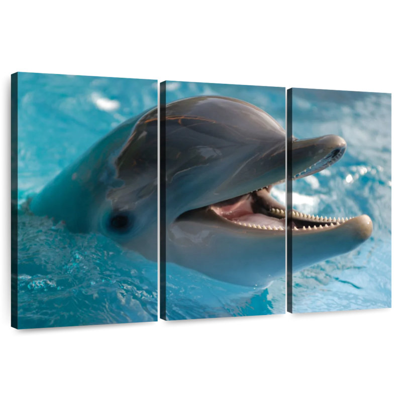 Brampt Delighted Dolphin, 24" H x 38" W