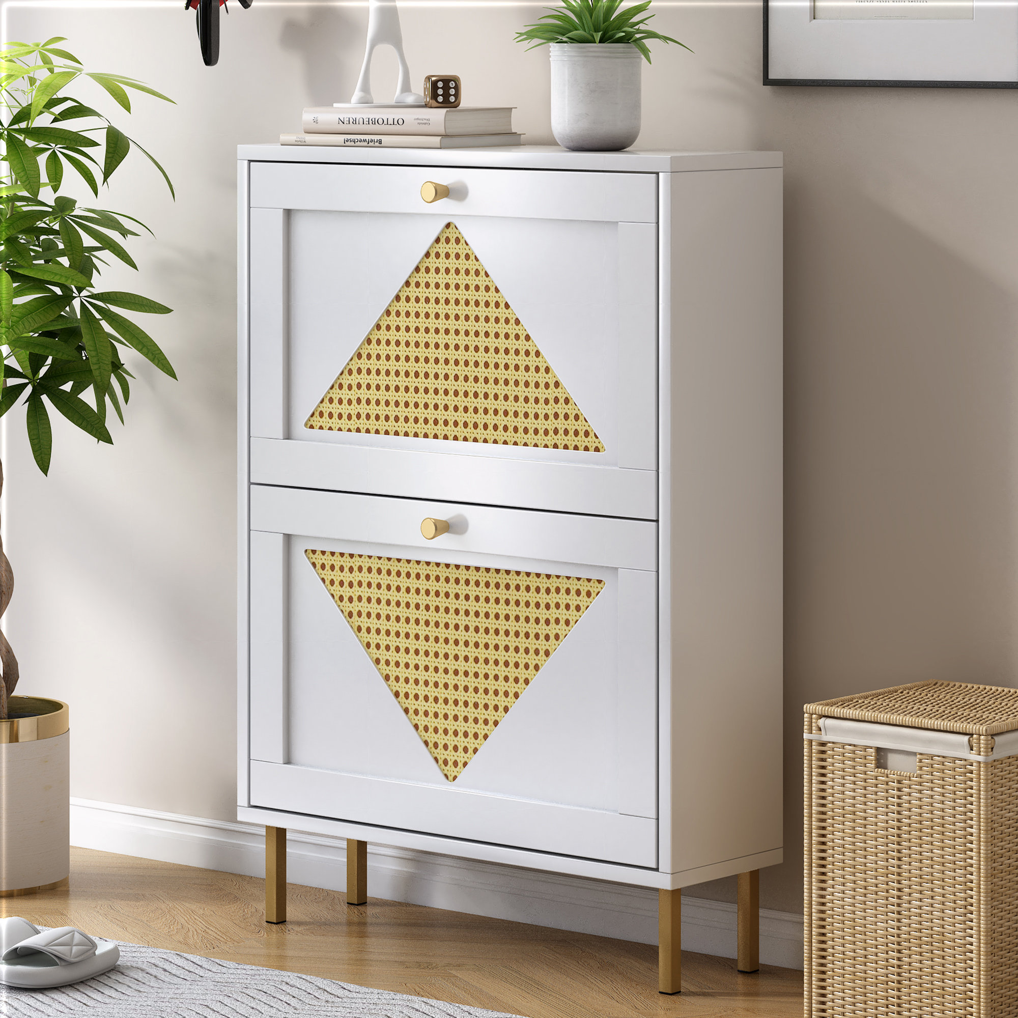 https://assets.wfcdn.com/im/03128945/compr-r85/2551/255113387/6-pair-shoe-storage-cabinet.jpg