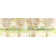 Birch Forest by Lucas - Wrapped Canvas Painting