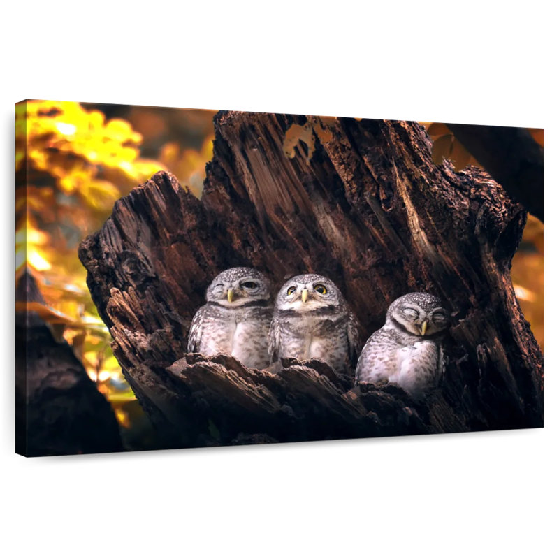 Brampt Birds In Tree, 34" H x 51" W