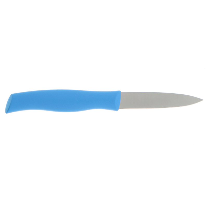 Zwilling Twin Grip 3.54-inch Paring Knife, Blue