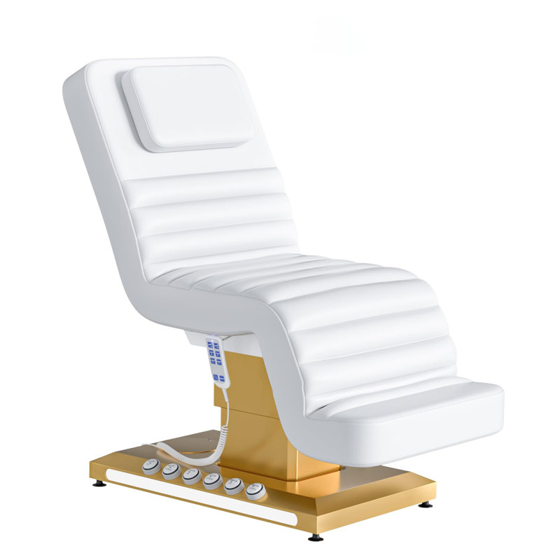 Table de massage électrique à hauteur réglable, dossier et repose-jambes, table de massage professionnelle avec télécommande et commande au pied, boutons à DEL