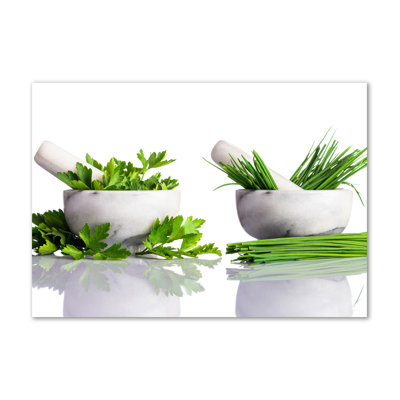 Herbs - No Frame Print on Canvas