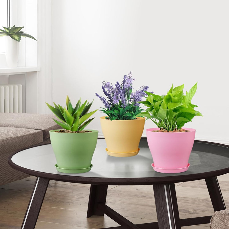 Pots de plantes en plastique 6 "avec drainage et soucoupes - paquet de 16