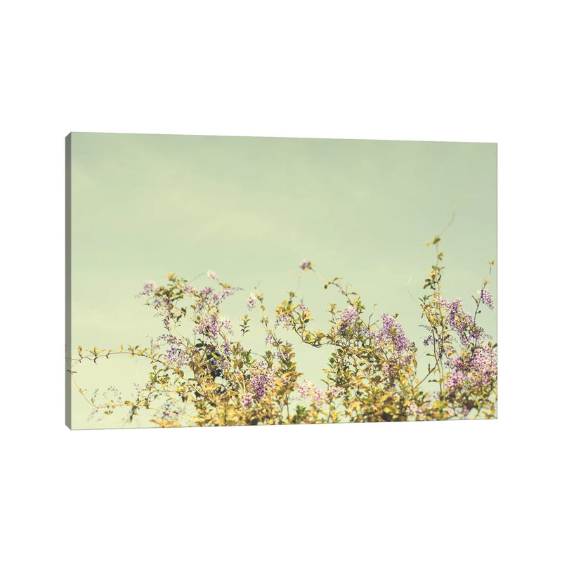 Carefree Spirit 1 Piece Wrapped Canvas Wall Art, 20.32 cm H x 30.48 cm W
