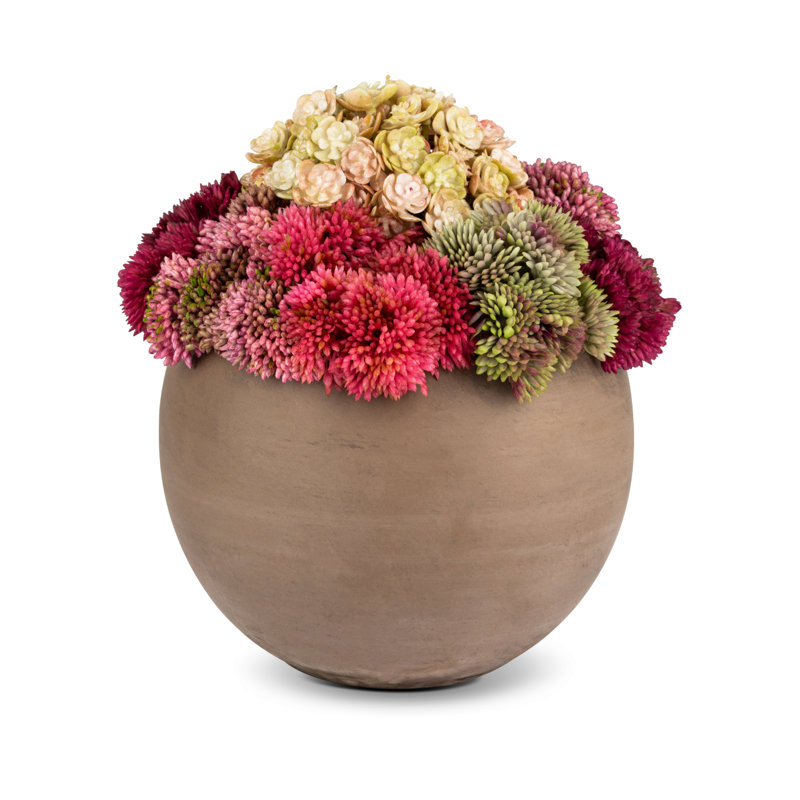 Elias Sedum Arrangement, Red/Beige/Green
