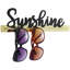 Sunglasses Wall Mounted Jewellery Holder