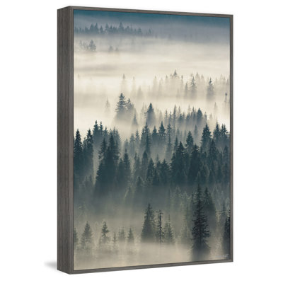 " Come To The Woods " by Marmont Hill