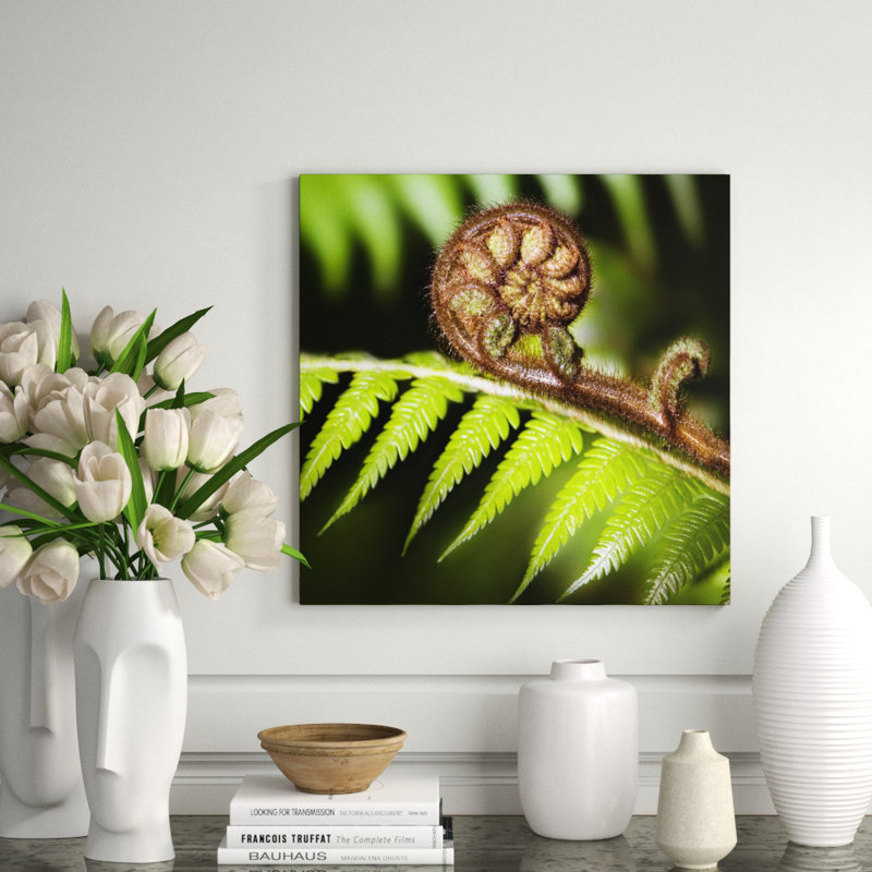 Fern Branch! Print, Aluminum, 56" H x 56" W x 1" D