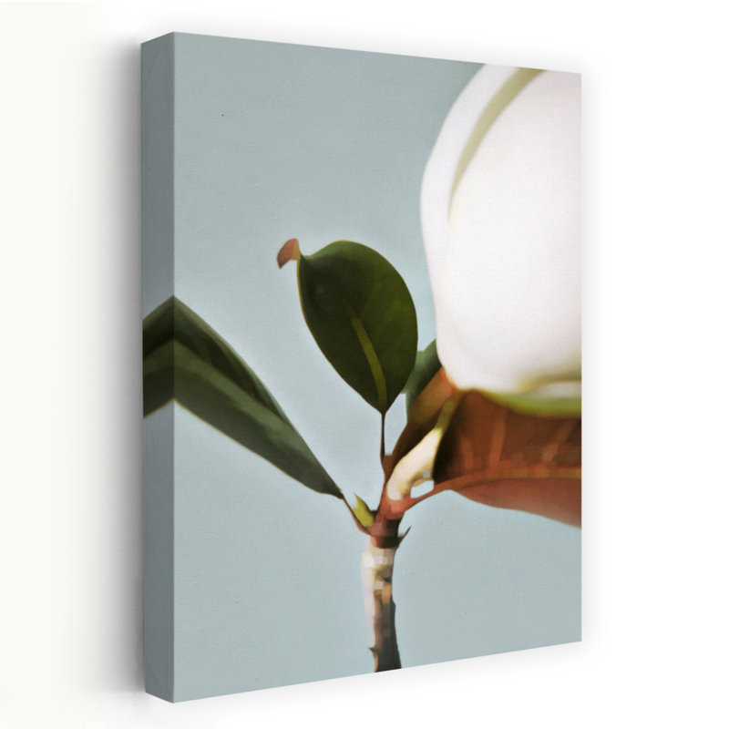 Contemporary Art Elegant Abstract Magnolia Nature Flower Wall Art by Angelo Cerantola - Wrapped Canvas Print